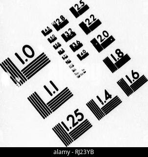 . Le castor américain et ses œuvres [microform]. Les castors ; Roulettes. TEST D'ÉVALUATION D'IMAGE CIBLE (MT-S). Veuillez noter que ces images sont extraites de la page numérisée des images qui peuvent avoir été retouchées numériquement pour plus de lisibilité - coloration et l'aspect de ces illustrations ne peut pas parfaitement ressembler à l'œuvre originale.. Morgan, Lewis H. Lewis (Henry), 1818-1881. Philadelphia : J. B. Lippincott Banque D'Images