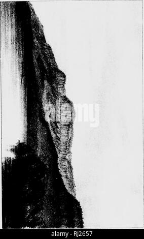 . Le lac Supérieur [microforme] : son caractère physique, de la végétation et les animaux, comparés à ceux d'autres régions semblables et . Histoire naturelle ; sciences naturelles. . Veuillez noter que ces images sont extraites de la page numérisée des images qui peuvent avoir été retouchées numériquement pour plus de lisibilité - coloration et l'aspect de ces illustrations ne peut pas parfaitement ressembler à l'œuvre originale.. Agassiz, Louis, 1807-1873 ; es. Boston : Gould, Kendall et Lincoln Banque D'Images