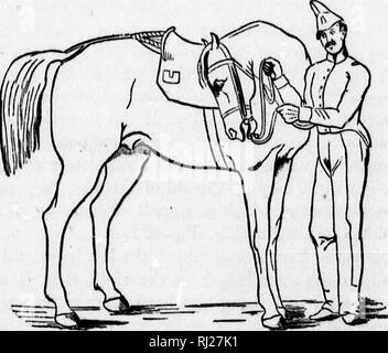 . Frank Forester's horse et l'équitation de l'Organisation des États et provinces britanniques d'Amérique du Nord [microforme]. Des chevaux, des chevaux de course ; Chevaux ; Chevaux de course. Ftgnrb 1. La flexion de l'^ jaw à gauche est exécutée sur les mêmes principes, et par l'homme ; moyens inverse en prenant soin de changer alternativement de l'un à l'autre.. FignreS. L'importance de ces flexions de la mâchoire est facilement- derstood. Le résultat d'entre eux est de préparer le cheval pour donner instantanément à la pression la plus légère du bit, et à souple. MHiMiMMMillIBi Veuillez noter que ces images sont extraites de sc Banque D'Images