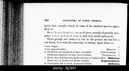 . Classement des coléoptères de l'Amérique du Nord [microforme]. Les coléoptères ; Coléoptères. . Veuillez noter que ces images sont extraites de la page numérisée des images qui peuvent avoir été retouchées numériquement pour plus de lisibilité - coloration et l'aspect de ces illustrations ne peut pas parfaitement ressembler à l'œuvre originale.. Le Conte, John L. (John Lawrence), 1825-1883 ; Horn, George H. (George Henry), 1840-1897. Washington : Smithsonian Institution Banque D'Images