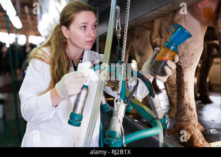 Jeune femme système de traite sur l'inspection trayeur ferme laitière Banque D'Images