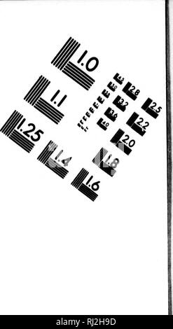 . Histoire et description gÃ©nÃ©rale de la Nouvelle France [microforme] : avec le journal historique d'un voyage fait par ordre du roi dans l'AmÃ©rique septentrionnale. Botanique, la botanique. '^. TEST D'ÉVALUATION D'IMAGE CIBLE (MT-3) 1.0 l.v iil|21 |2-S â ^ « 12,2 lu Ã®t us. 1.25 1.4 111^. ^ ^ w Ta 'V.ÃV^^ ^' .' ;. '^ &gt ;. Veuillez noter que ces images sont extraites de la page numérisée des images qui peuvent avoir été retouchées numériquement pour plus de lisibilité - coloration et l'aspect de ces illustrations ne peut pas parfaitement ressembler à l'œuvre originale.. Charlevoix, Pierre-FranÃ§ois-Xavier de, 1682-1761. Un P Banque D'Images