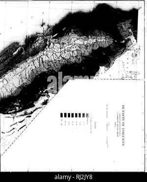 . Rapport sur les forêts de l'Amérique du Nord [microforme] : (à l'exclusion du Mexique). Les ARBRES ; ARBRES ; bois ; les forêts et la Foresterie ; bois ; ARBRES ; ARBRES ; bois ; Forêts et sylviculture ; Bois d'oeuvre. . Veuillez noter que ces images sont extraites de la page numérisée des images qui peuvent avoir été retouchées numériquement pour plus de lisibilité - coloration et l'aspect de ces illustrations ne peut pas parfaitement ressembler à l'œuvre originale.. Sargent, Charles Sprague, 1841-1897 ; United States. Ministère de l'intérieur. Washington : G. P. O. Banque D'Images