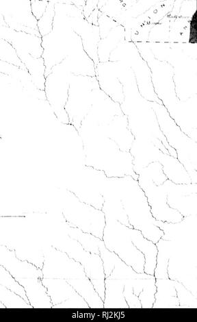 . Rapport sur les forêts de l'Amérique du Nord [microforme] : (à l'exclusion du Mexique). Les ARBRES ; ARBRES ; bois ; les forêts et la Foresterie ; bois ; ARBRES ; ARBRES ; bois ; Forêts et sylviculture ; Bois d'oeuvre. . Veuillez noter que ces images sont extraites de la page numérisée des images qui peuvent avoir été retouchées numériquement pour plus de lisibilité - coloration et l'aspect de ces illustrations ne peut pas parfaitement ressembler à l'œuvre originale.. Sargent, Charles Sprague, 1841-1897 ; United States. Ministère de l'intérieur. Washington : G. P. O. Banque D'Images