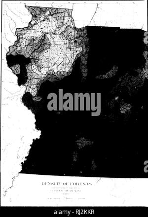 . Rapport sur les forêts de l'Amérique du Nord [microforme] : (à l'exclusion du Mexique). Les ARBRES ; ARBRES ; bois ; les forêts et la Foresterie ; bois ; ARBRES ; ARBRES ; bois ; Forêts et sylviculture ; Bois d'oeuvre. 1^. Veuillez noter que ces images sont extraites de la page numérisée des images qui peuvent avoir été retouchées numériquement pour plus de lisibilité - coloration et l'aspect de ces illustrations ne peut pas parfaitement ressembler à l'œuvre originale.. Sargent, Charles Sprague, 1841-1897 ; United States. Ministère de l'intérieur. Washington : G. P. O. Banque D'Images