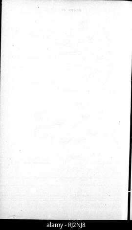 . Contributions à l'ichtyologie en Amérique du Nord [microforme] : basé principalement sur les collections de la United States National Museum. L'ichtyologie, poissons, l'eau douce ; poissons ; Ichtyologie ; Poissons d'eau douce ; Poissons. . Veuillez noter que ces images sont extraites de la page numérisée des images qui peuvent avoir été retouchées numériquement pour plus de lisibilité - coloration et l'aspect de ces illustrations ne peut pas parfaitement ressembler à l'œuvre originale.. La Jordanie, David Starr, 1851-1931. Washington : G. P. O. Banque D'Images