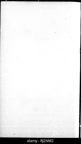 . Contributions à l'ichtyologie en Amérique du Nord [microforme] : basé principalement sur les collections de la United States National Museum. L'ichtyologie, poissons, l'eau douce ; poissons ; Ichtyologie ; Poissons d'eau douce ; Poissons. . Veuillez noter que ces images sont extraites de la page numérisée des images qui peuvent avoir été retouchées numériquement pour plus de lisibilité - coloration et l'aspect de ces illustrations ne peut pas parfaitement ressembler à l'œuvre originale.. La Jordanie, David Starr, 1851-1931. Washington : G. P. O. Banque D'Images