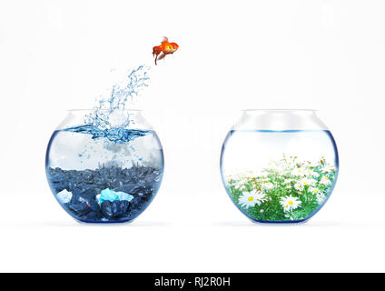 Amélioration et déménagement concept avec un poisson rouge sautant d'un aquarium à un sale nettoyer un Banque D'Images