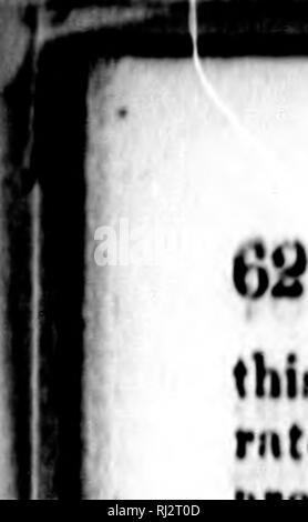 . Rapport sur le potentiel agricole de la province du Nouveau-Brunswick [microform]. L'agriculture ; l'Agriculture. mmmmmm Pro/JulintitOH j'HMor8 iil'fmrt sur le mince Ilfjxirt Tiilileii (IV'. timl V.) bi-crirrt iiml'ot, si le riitcÂ » itivni Wiij de fH(mauvais Tubl*"* XXXVIII XXXIX iiiid ure de mentir, iipoii pfiitlfd cli'tliJM rovitioL J'' devrait tu hi*' de l'IPSMT à coiniirtf !mii i'&gt ; ;'Â"Â"fiiily Jiiited StitteÂ^ (witli" fiiriiiorff tlictii tu niMl, dur d'itH lioini iiiiirketx*. J'lifvc tliHt II IIL'iiiofL ^' petit kili, j'iiiT((y de la PNNND dftfriniiinlion aiiionx liiDdlioliltTi tliJM tliv de Provi Banque D'Images