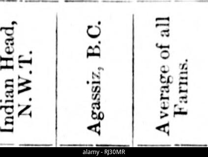 . Résultats obtenus en 1898 à partir de parcelles expérimentales de grain, le maïs fourrager et les racines [microform]. Grandes cultures ; des expériences sur le terrain ; céréales ; Agriculture ; cultures de plein champ ; essais en plein champ ; CÃ©rÃ©ales ; l'Agriculture. Jier rendement à l'acre-vpral Kxporiiuciital Furiiis st. D SciiMm Isiis..  ; ! 4 r. ti f 8 '.) 1011 ! 12 i;i ir 14.i K) 17 11 LS) â¢h ; â 221 ! 23 24 25 2 i jusqu'à ! ;OOi ii : .5,32 12 572 30 512 0 4S4 12445 48 443 48 457 .. 444 11 572 24 325 .. 30312 023 01371 30'395 281484 ..:40424;J87 24 40 40 40 40 24 20 40 387 410 405 409 415 458 438 429 3S0 409 405 420 434 438 378 408 449 358 381 Banque D'Images