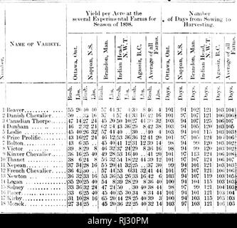 . Résultats obtenus en 1898 à partir de parcelles expérimentales de grain, le maïs fourrager et les racines [microform]. Grandes cultures ; des expériences sur le terrain ; céréales ; Agriculture ; cultures de plein champ ; essais en plein champ ; CÃ©rÃ©ales ; l'Agriculture. Le THF tous tin- vaiioticK nf Â"intelligence pour^oaoli à tod d Ilxpnii tlm- Kaiins iital n mauvais 1M)S comme tdlluws^ ; whs à Onawfi hiislicls, fiCt II llis. por (1 Nappaii ; à 'M, lnHJu hrandon'N ; 90, 1)euh)u&gt;en H |I)s ; Indian llt-ad, (I| 1i;i-IioIh Ml) ll)s., akid au AJ,'a.ssi/, rÂ"L''IiuhIm est ' '(â ¢ llis, 'J'avciii lio"^ ^retour c''M-il wIhiIm tliu de liy le variutirs testés à tous (en- loin Banque D'Images