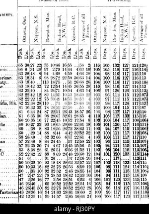 . Résultats obtenus en 1898 à partir de parcelles expérimentales de grain, le maïs fourrager et les racines [microform]. Grandes cultures ; des expériences sur le terrain ; céréales ; Agriculture ; cultures de plein champ ; essais en plein champ ; CÃ©rÃ©ales ; l'Agriculture. l'ftevtriil K|m'i imi-iitiil l'"arinH pour S.euh..tiot' 1S'.Â",S. N'uiiilii j' si j'&gt ;)i&x lidiii Siiwiiii gt;,' * J'iMIVrsllil','. S4 ST) m 37 : 88 : 89 : 40 ^ ^ 3 â C rt u X, cs Onilommiers... L'Huckbfe Jiiucoln Itiiprovod-américain de l'Illinois. Amt'rica Beauté.. I )oncasttir Priae . Kiuly VicUjria Priie Maine . Gris d'hiver, prolifique Californie P.ik J'Whitti^)nanza Hussian Gold Banque D'Images