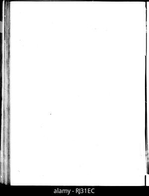 . Expéditions en Arctique à partir de la British and foreign shores [microforme] : à partir de la plus ancienne à l'expédition de 1875. Expéditions scientifiques, Expéditions scientifiques. . Veuillez noter que ces images sont extraites de la page numérisée des images qui peuvent avoir été retouchées numériquement pour plus de lisibilité - coloration et l'aspect de ces illustrations ne peut pas parfaitement ressembler à l'œuvre originale.. Smith, D. Murray (David Murray). Edinburgh : Jack C. T. Banque D'Images