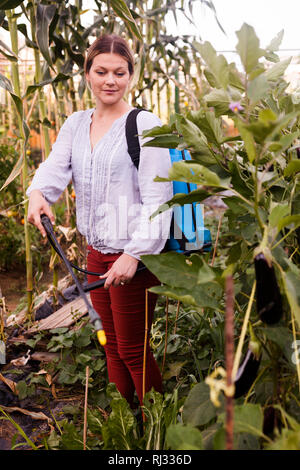 Portrait de jeune femme jardinier travaillant avec appareils de pulvérisation en pépinière Banque D'Images