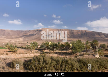 Moulin pour le pompage de l'eau, Fuerteventura, Canary Islands, Spain, Europe Banque D'Images