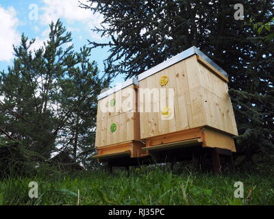 Les abeilles voler dans deux ruches en bois sur une journée ensoleillée Banque D'Images