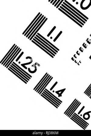 . Ensayo político sobre la Nueva España [microform]. L'agriculture ; l'Agriculture. o Test d'évaluation de l'image cible (MT-3) 1.0 Ib lU l.a ILÜ IIIIM Hiotügraphic SdeiMís 11,6 Corporation 33 WEST MAIN STREET WEBSTER, N.Y. 14580 (716) 872-4503 //. .^^, un 4&gt ;^ íV . Veuillez noter que ces images sont extraites de la page numérisée des images qui peuvent avoir été retouchées numériquement pour plus de lisibilité - coloration et l'aspect de ces illustrations ne peut pas parfaitement ressembler à l'œuvre originale.. Humboldt, Alexander, Freiherr von, 1769-1859. [Paris ?  : S. n. ] Banque D'Images