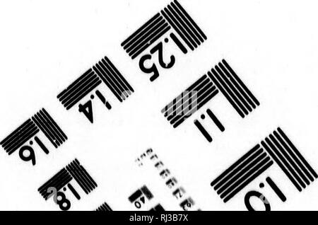 . Rapport d'une exploration dans le district du Yukon, T.N.-O., et partie nord adjacente de la Colombie-Britannique, 1887 [microforme]. Géologie ; géologie ; botanique ; arbres ; botanique ; arbres ; Indiens d'Amérique du Nord ; les Indiens d'Amérique du Nord ; Géologie ; Géologie ; botanique ; Arbres ; botanique ; Arbres ; Indiens ; Indiens. Flioliographic Sciences Corporation. 33 VtkST WMSTM LA BÉQUILLE PRINCIPALE.N.Y. 14CP (716) · 72-4903. Veuillez noter que ces images sont extraites de la page numérisée des images qui peuvent avoir été retouchées numériquement pour plus de lisibilité - coloration et l'aspect de ces illustrations ne peut pas parfaitement ressembler à l'ori Banque D'Images