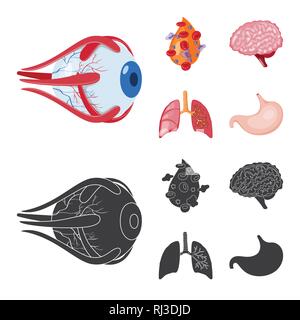 Globe oculaire,,sang,le cerveau,Poumon Estomac,oeil,esprit,plasma,trachée,tube,cornée,cell,,renseignement,pulmonaire,couches,gastrique,science,capot,la douleur,l'artère,structure,don,psychologie,respiratoire,vue,corps,maladie,genius,Protection,système,biologie,scientifique,recherche,laboratoire,Anatomie interne d'organes,médical,des,santé,,set,icône,,illustration,collection,isolé,design,graphisme,élément vecteur vecteurs,signer , Illustration de Vecteur