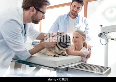 Propriétaire à l'examen de médecin à pug sur lit dans une clinique vétérinaire Banque D'Images