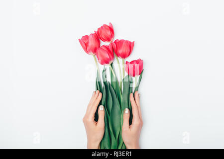 Woman's hands holding bouquet de belles fleurs de tulipe rose sur le tableau blanc, vue du dessus. Banque D'Images