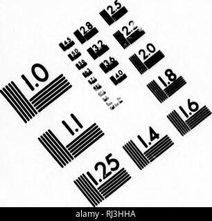 . Essai politique sur le royaume de la Nouvelle-Espagne [microform]. L'agriculture, mines et ressources minières, de l'Agriculture, des Mines et des ressources minérales. TEST D'ÉVALUATION D'IMAGE CIBLE (MT-3) O ^^^ A'. Veuillez noter que ces images sont extraites de la page numérisée des images qui peuvent avoir été retouchées numériquement pour plus de lisibilité - coloration et l'aspect de ces illustrations ne peut pas parfaitement ressembler à l'œuvre originale.. Humboldt, Alexander, Freiherr von, 1769-1859. A Paris : Chez F. Schoell, libraire . ..  ; De l'imprimerie de J. H. Stô sw Banque D'Images