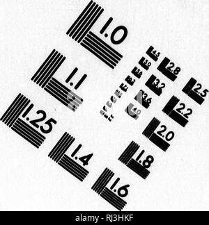 . Et à l'ornithologie mammalogie [microform]. Les mammifères, les oiseaux, MammifÃ¨res ; Oiseaux. TEST D'ÉVALUATION D'IMAGE CIBLE (MT-3). 1.0 1.1 Jl 125 US â u |Uii 2,2 2,0 140 I 1â 1'-^ â 1.6 * 1 &Lt ; 6" â âº. Veuillez noter que ces images sont extraites de la page numérisée des images qui peuvent avoir été retouchées numériquement pour plus de lisibilité - coloration et l'aspect de ces illustrations ne peut pas parfaitement ressembler à l'œuvre originale.. Cassin, John, 1813-1869. Philadelphia : J. B. Lippincott Banque D'Images