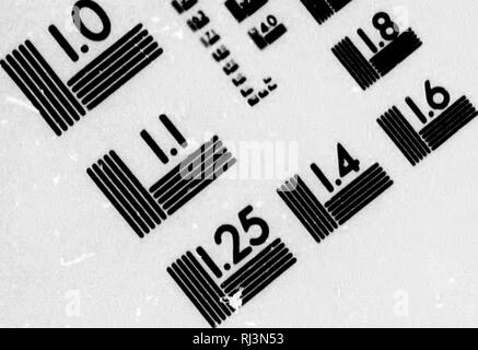 . Aventures sportives dans le Pacifique, tandis que le commandement de la Renne " [microforme]". Chasse, Chasse. TEST D'ÉVALUATION D'IMAGE CIBLE (MT-3). Veuillez noter que ces images sont extraites de la page numérisée des images qui peuvent avoir été retouchées numériquement pour plus de lisibilité - coloration et l'aspect de ces illustrations ne peut pas parfaitement ressembler à l'œuvre originale.. Kennedy, W., R. (William Robert), Sir, 1912-1992. Londres : S. Low, Marston, Searle & Rivington ; Banque D'Images