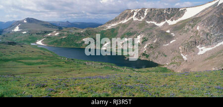 USA, Wyoming, forêt nationale de Shoshone, des prairies verdoyantes entourent le lac Gardner pendant que sommets de montagnes Beartooth se retirer à la distance. Banque D'Images