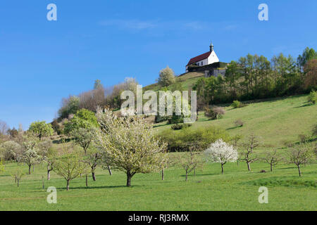 Wurmlinger Kapelle, Wurmlingen, bei Tübingen, Bade-Wurtemberg, Allemagne Banque D'Images