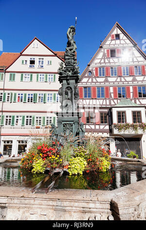 Brunnen mit ""Villa Rügen Am Marktplatz, Tübingen, Bade-Wurtemberg, Allemagne Banque D'Images