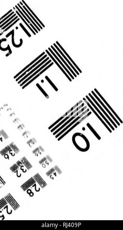 . Un examen des Weismannism [microform]. L'hérédité ; évolution ; hérédité ; évolution. w 7 O (un ^. Veuillez noter que ces images sont extraites de la page numérisée des images qui peuvent avoir été retouchées numériquement pour plus de lisibilité - coloration et l'aspect de ces illustrations ne peut pas parfaitement ressembler à l'œuvre originale.. Romanes, George John, 1848-1894. Chicago : Cour ouverte Pub. Co. Banque D'Images