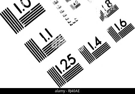 . Un examen des Weismannism [microform]. L'hérédité ; évolution ; hérédité ; l'évolution. *&Gt ;. TEST D'ÉVALUATION D'IMAGE CIBLE (MT-3). Veuillez noter que ces images sont extraites de la page numérisée des images qui peuvent avoir été retouchées numériquement pour plus de lisibilité - coloration et l'aspect de ces illustrations ne peut pas parfaitement ressembler à l'œuvre originale.. Romanes, George John, 1848-1894. Chicago : Cour ouverte Pub. Co. Banque D'Images