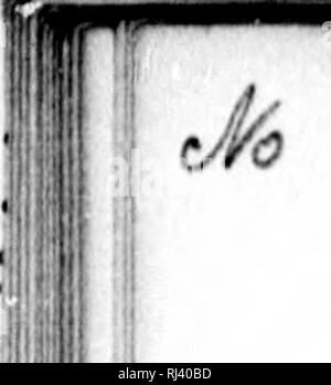 . Un examen des Weismannism [microform]. L'hérédité ; évolution ; HÃ©rÃ©ditÃ© ; l'évolution. t ft J'i ! Â JE ! R' I , ; ; iil à Jo t. 6VVt,* +V1^^^ 4&Lt ; 20 o^» Wcismannism - Examen de tous. dans le processus de l'évolution organique. Peu importe le nombre de générations d'aigles, par exemple, peuvent avoir utilisé leurs ailes pour l'application du vol ; et n'importe comment grand une augmentation de musculature, d'endurance, et de compétence, peuvent donc avoir été fixé à chaque génération d'aigles comme le résultat d'exercice individuel ; tous ces avantages sont entièrement perdus à leur descendance, et Young Eagles n'ont jamais de s'thei Banque D'Images