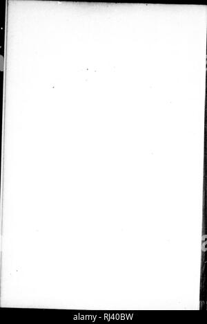 . Un examen des Weismannism [microform]. L'hérédité ; évolution ; hérédité ; l'évolution. . Veuillez noter que ces images sont extraites de la page numérisée des images qui peuvent avoir été retouchées numériquement pour plus de lisibilité - coloration et l'aspect de ces illustrations ne peut pas parfaitement ressembler à l'œuvre originale.. Romanes, George John, 1848-1894. Chicago : Cour ouverte Pub. Co. Banque D'Images