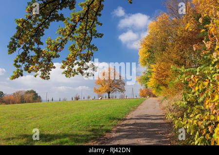 Katharinenlinde im Herbst, ESSLINGEN AM NECKAR, Bade-Wurtemberg, Allemagne Banque D'Images