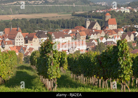 Altstadt von Besigheim mit Schochemturm Waldhornturm, Rathaus, und Stadtkirche, Bade-Wurtemberg, Allemagne Banque D'Images