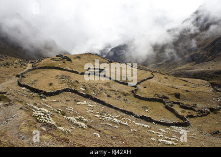 Bolivien, Cordillera Apolobamba, Banque D'Images