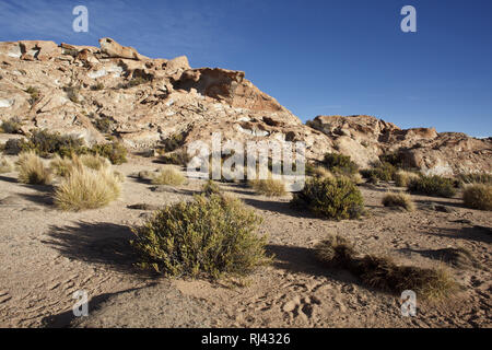 Washington DC, Los Lipez, Valle de las Rocas, Banque D'Images