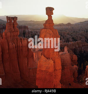 Thors Hammer, Bryce Canyon Banque D'Images