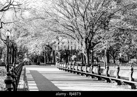 De beaux paysages à l'intérieur de Central Park à New York pendant la saison d'automne et de l'automne Banque D'Images