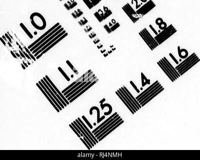 . Rapport d'une exploration dans le district du Yukon, T.N.-O., et partie nord adjacente de la Colombie-Britannique, 1887 [microforme]. Géologie ; géologie ; botanique ; arbres ; botanique ; arbres ; Indiens d'Amérique du Nord ; les Indiens d'Amérique du Nord ; Géologie ; Géologie ; botanique ; Arbres ; botanique ; Arbres ; Indiens ; Indiens. TEST D'ÉVALUATION D'IMAGE CIBLE (MT-3) £/ UN^^. Veuillez noter que ces images sont extraites de la page numérisée des images qui peuvent avoir été retouchées numériquement pour plus de lisibilité - coloration et l'aspect de ces illustrations ne peut pas parfaitement ressembler à l'œuvre originale.. Dawson, George M. , 1849-1901 ; G Banque D'Images