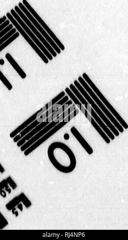 . Rapport d'une exploration dans le district du Yukon, T.N.-O., et partie nord adjacente de la Colombie-Britannique, 1887 [microforme]. Géologie ; géologie ; botanique ; arbres ; botanique ; arbres ; Indiens d'Amérique du Nord ; les Indiens d'Amérique du Nord ; GÃ©ologie ; GÃ©ologie ; botanique ; Arbres ; botanique ; Arbres ; Indiens ; Indiens. Â -Â itii^ - C.y '^.tr, -. Veuillez noter que ces images sont extraites de la page numérisée des images qui peuvent avoir été retouchées numériquement pour plus de lisibilité - coloration et l'aspect de ces illustrations ne peut pas parfaitement ressembler à l'œuvre originale.. Dawson, George M. , 1849-1901 ; Geological et N Banque D'Images