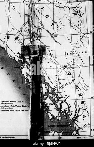 . Rapport d'une exploration dans le district du Yukon, T.N.-O., et partie nord adjacente de la Colombie-Britannique, 1887 [microforme]. Géologie ; géologie ; botanique ; arbres ; botanique ; arbres ; Indiens d'Amérique du Nord ; les Indiens d'Amérique du Nord ; GÃ©ologie ; GÃ©ologie ; botanique ; Arbres ; botanique ; Arbres ; Indiens ; Indiens. o*. ApproxiiDate la limitation du Nord â de Pinut murrayana. '^ North-Weitem UmUi â¢Durée approximative de Larix. Atnerieana Approximative â limite intérieure de l'autre Floea. Lw^frrni GMCbwiak Mbst tud*.. Veuillez noter que ces images sont extraites de la page numérisée des images qui peuvent avoir été retouchées numériquement pour Banque D'Images