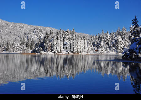 Deutschland, Bayern, Isartal, Mittenwald, Winterlandschaft, Lautersee, Wasserspiegelung Banque D'Images