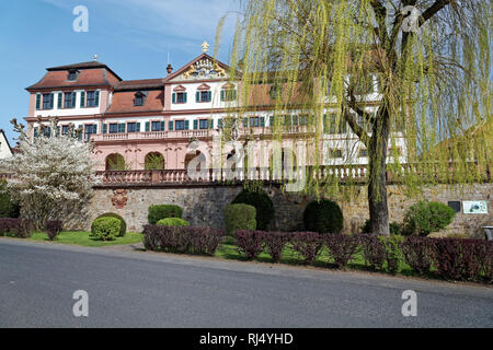 Impressionen aus Frankens ?ltester Weinstadt Hammelburg an der Saale fr ?nkische mit dem Kellergeschoss auch 'Rotes Schloss" genannt von 1726, Landkrei Banque D'Images