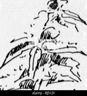 . Un guide pour les fleurs sauvages [microform]. Fleurs sauvages ; botanique ; botanique ; Fleurs sauvages. . Veuillez noter que ces images sont extraites de la page numérisée des images qui peuvent avoir été retouchées numériquement pour plus de lisibilité - coloration et l'aspect de ces illustrations ne peut pas parfaitement ressembler à l'œuvre originale.. Lounsberry, Alice, Rowan, Ellis, 1858-1922. Toronto : W. Briggs