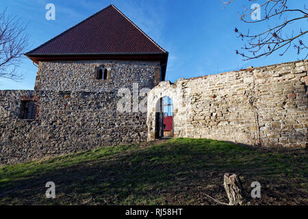 Romanisches Fenster im Kloster Posa bei Zeitz, Sachsen-Anhalt, Allemagne Banque D'Images