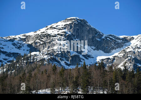 Winterlandschaft, Gebirge, Salzkammergut, Steiermark, Autriche, Europa Banque D'Images