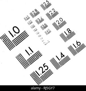 . Les oiseaux du Canada [microforme]. Oiseaux, oiseaux. TEST D'ÉVALUATION D'IMAGE CIBLE (MT-3). Veuillez noter que ces images sont extraites de la page numérisée des images qui peuvent avoir été retouchées numériquement pour plus de lisibilité - coloration et l'aspect de ces illustrations ne peut pas parfaitement ressembler à l'œuvre originale.. Dionne, C. -E. (Charles-Eusèbe), 1846-1925. [Le Québec ?  : S. n. ] Banque D'Images